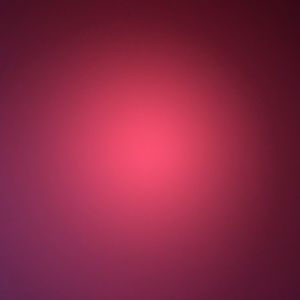 Meet your Posher, Raeley